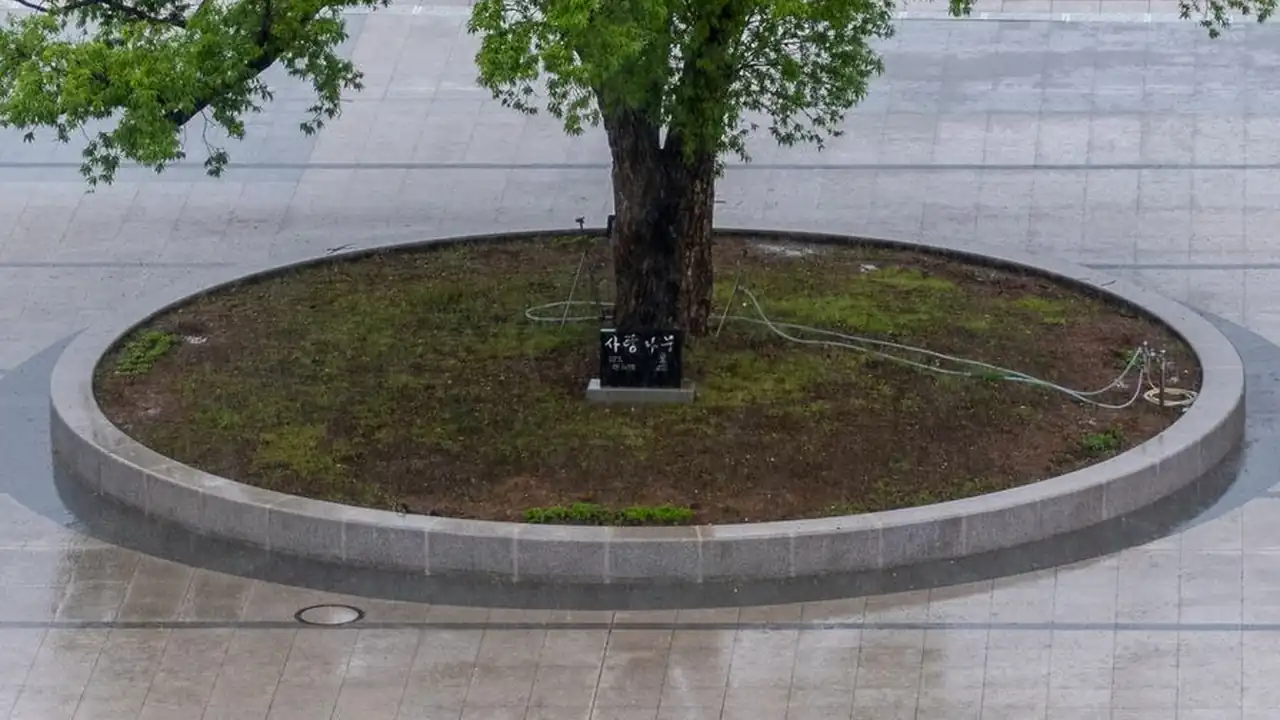千万原产资源探索自然宝库的无限可能